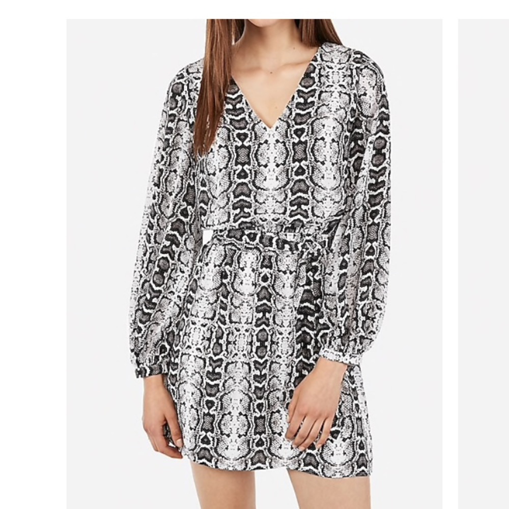 Chiffon Snakeskin Print Balloon Sleeve Mini Dress